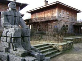 1157.jpg