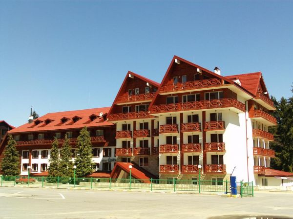 3619.jpg