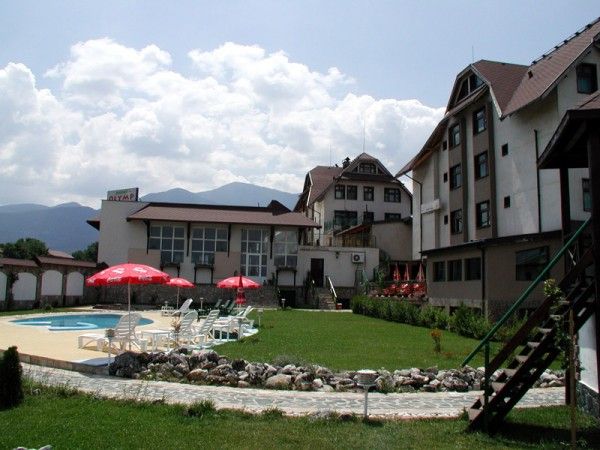 845.jpg